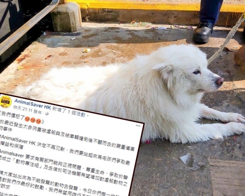 動物權益組織在Facebook貼文，以《我們憤怒了》為題呼籲市民不應再沉默。