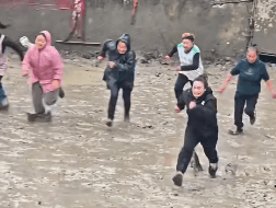 貴州一村舉辦「抓豬比賽」引起網友關注。鳳凰資訊 貴州一村舉辦「抓豬比賽」引起網友關注。鳳凰資訊