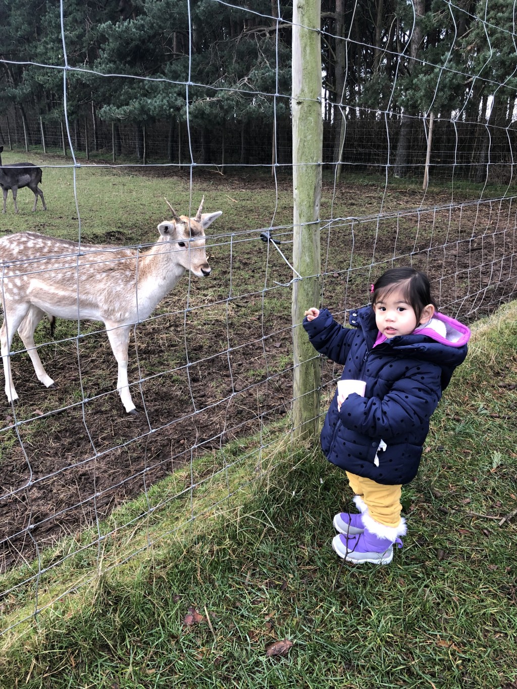 愛丁堡的自然景色非常具魅力,平日Winky有空也會帶女兒到公園或農場體驗。 愛丁堡的自然景色非常具魅力,平日Winky有空也會帶女兒到公園或農場體驗。