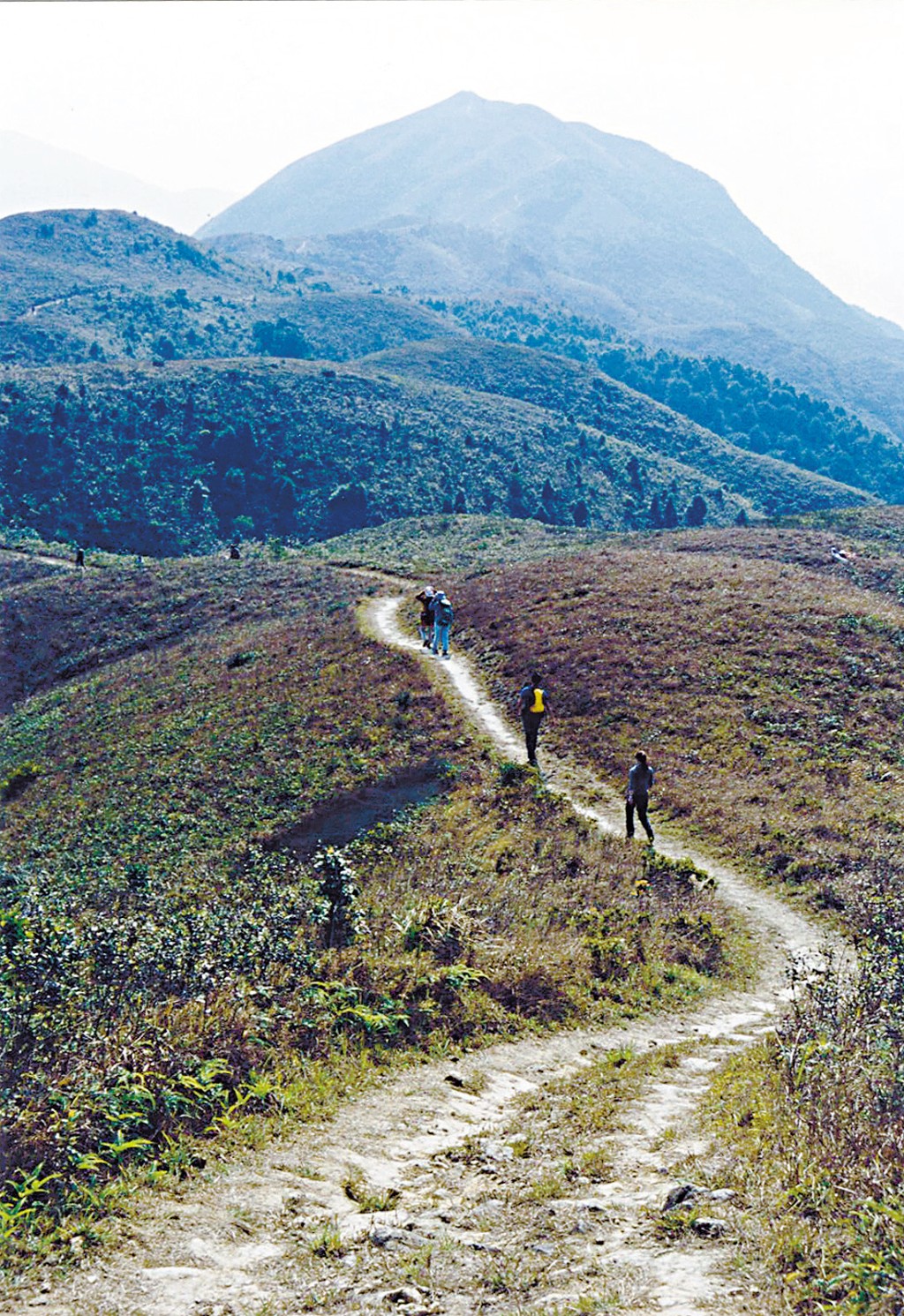 大埔大刀屻山勢壯闊。雖然山徑比較陡峭難行，但沿路可飽覽一望無際的翠綠景致。