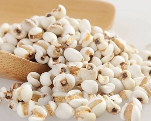 中醫建議，關節痛人士可以多吃薏米，有助緩解痛楚。網圖