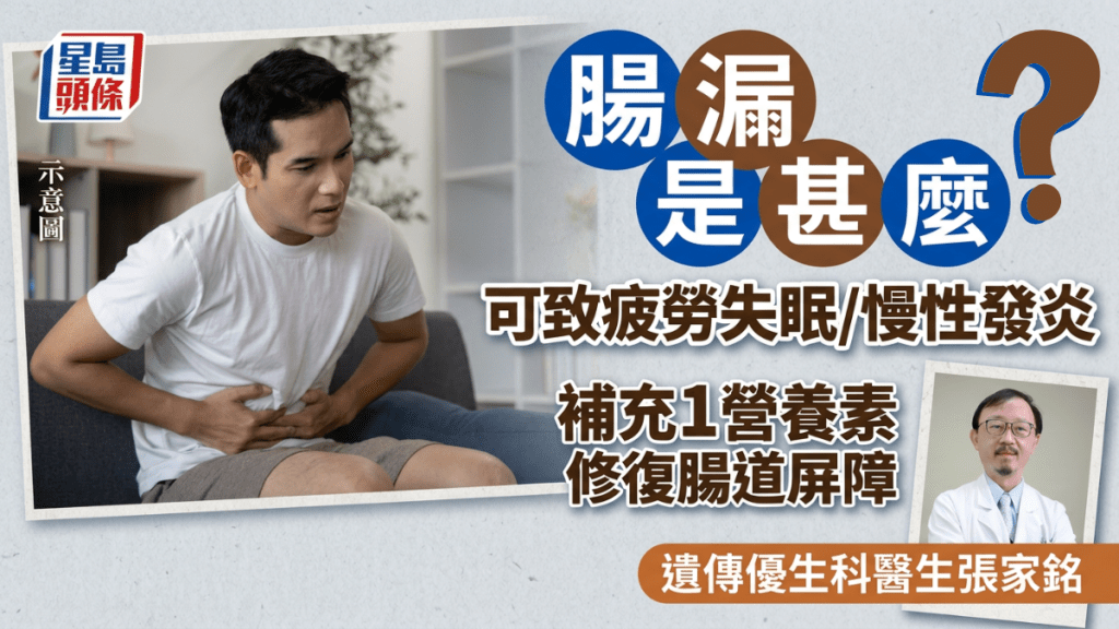 腸漏是甚麼？可致疲勞失眠慢性發炎 補充「麩醯胺酸胜肽」助修復腸道屏障