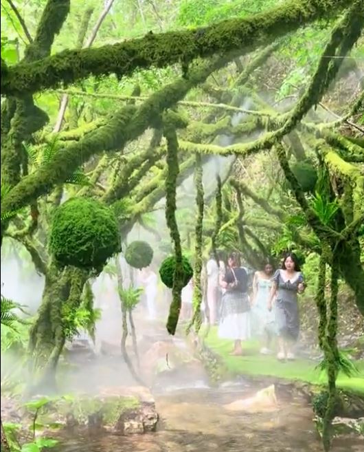 洛陽重渡溝自然風景區被指植被造假。抖音