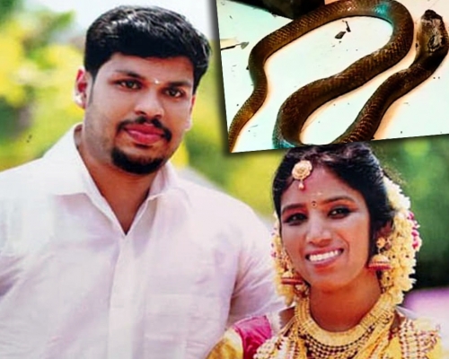 印度男子庫瑪(左)兩度以毒蛇殺害妻子(右)，被判兩次無期徒刑。網圖