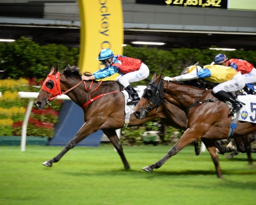 「有運來」在潘頓胯下大熱勝出。