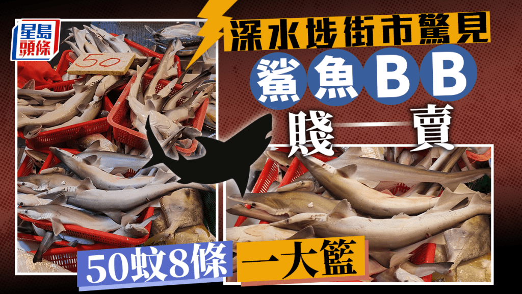 深水埗街市驚見「鯊魚BB」賤賣50蚊8條 網民竟指唔食得