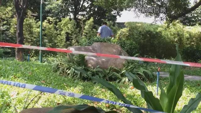 當日案發現場流花湖公園水池邊。圖:騰訊 