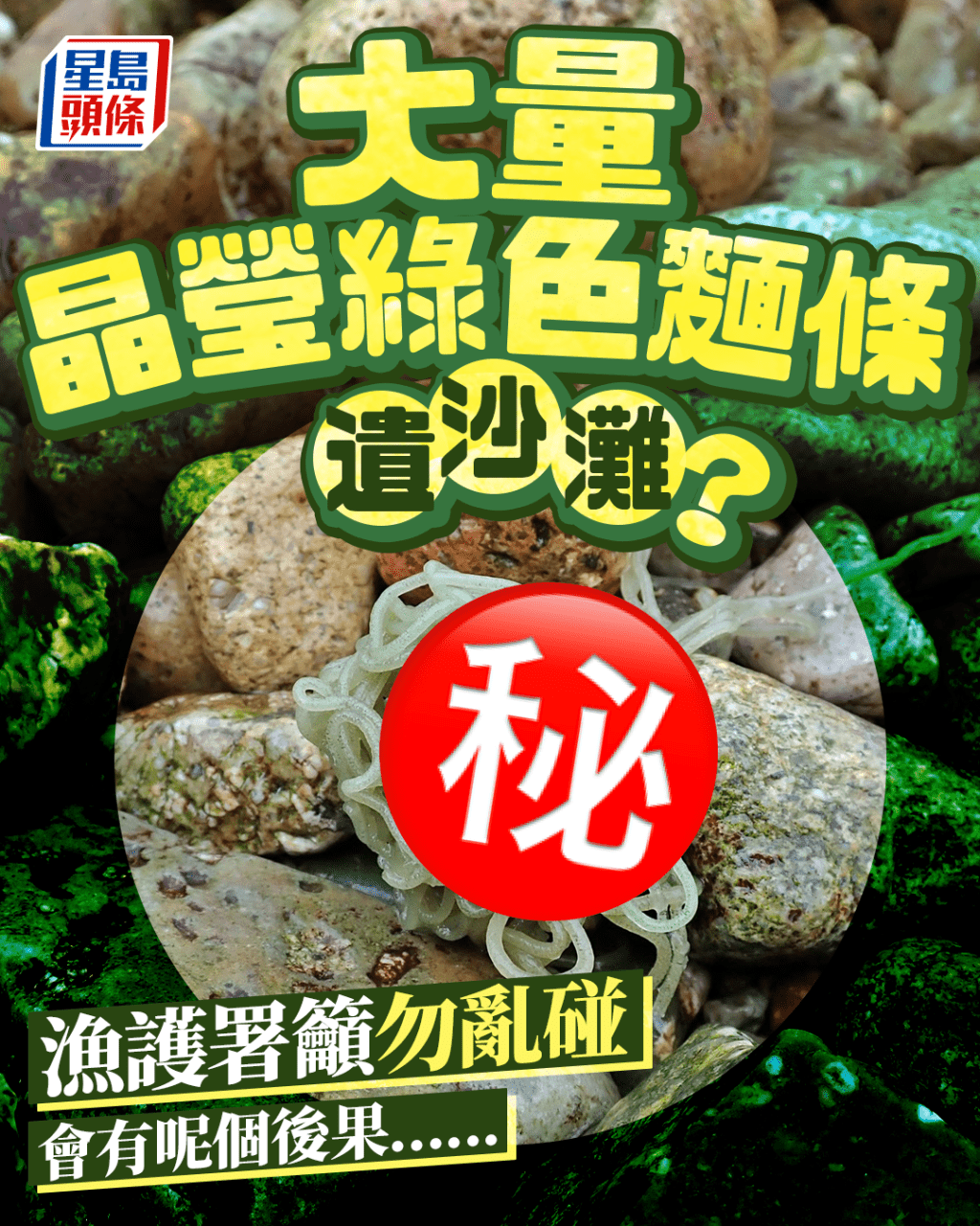 大量晶瑩綠色麵條遺沙灘？漁護署籲勿觸碰 否則有呢個後果......。圖片授權King Man Chan