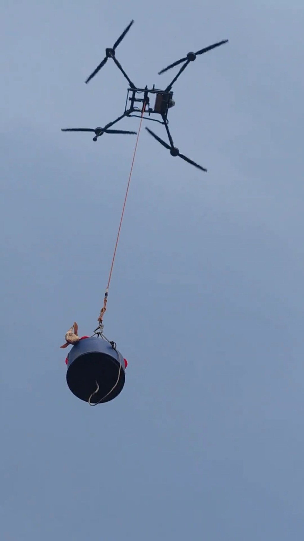 村民用无人机吊猪羊上山祭祖。抖音＠五华县佳音婚庆一站式策划