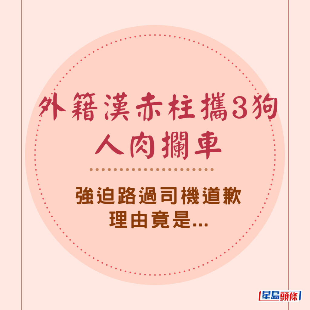  外籍漢赤柱攜3狗人肉攔車 強迫路過司機道歉理由竟是...