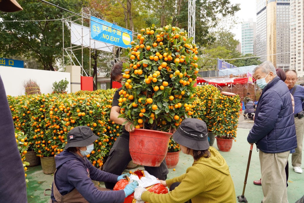 圖為去年維園年宵。 圖為去年維園年宵。