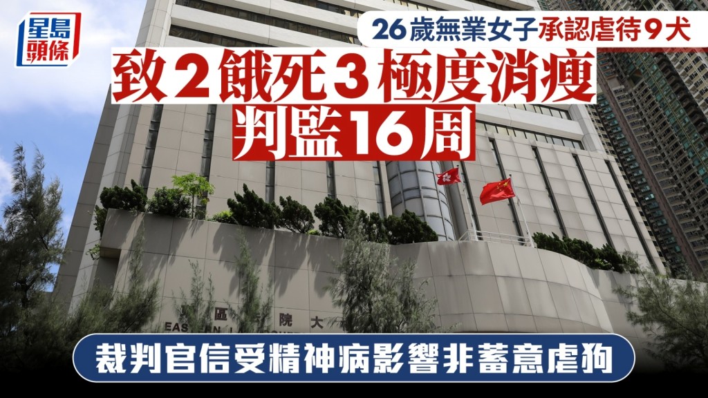 無業女認虐待9犬致2餓死3極度消瘦 官信受精神病影響非蓄意虐狗 判監16周