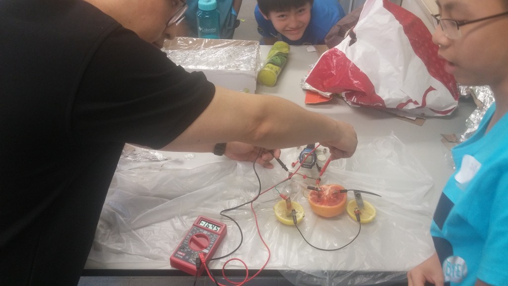 筆者為同學的「水果電池」量度發電電壓。