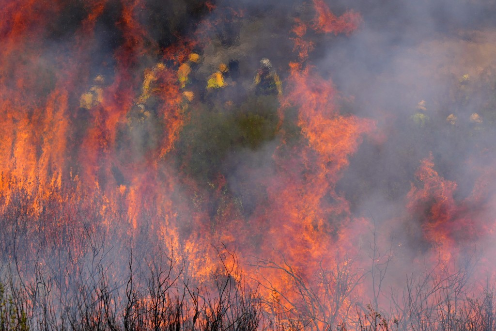 西班牙爆發36宗規模不等的山林大火，摧毀15.7萬公頃土地。法新社