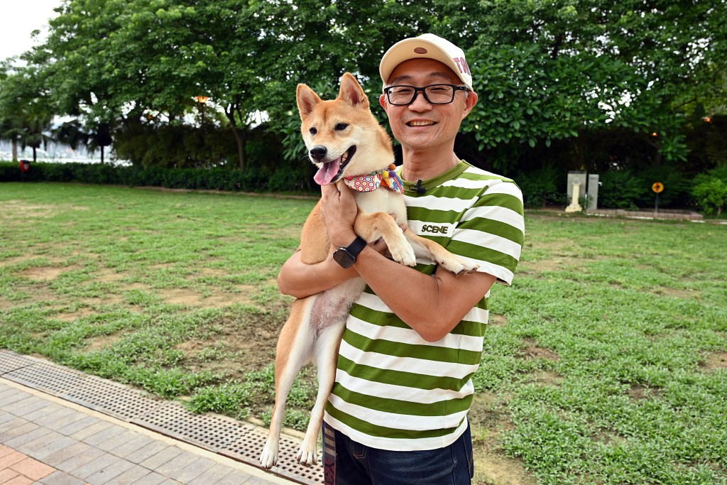 Eddie Choi表示，鬥牛梗並非特別好勇鬥狠，只是一旦採取攻擊，絕難收手。資料圖片