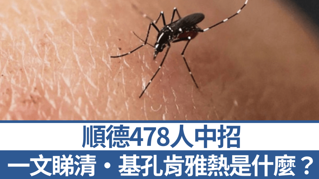 順德爆發「基孔肯雅熱」,已有478人中招,其病徵與登革熱相似。資料圖片