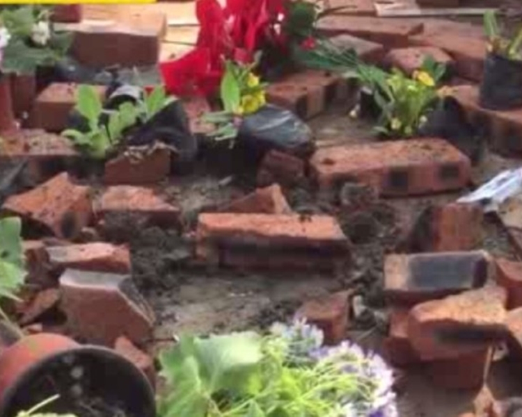 留在地上的花都被踏烂。