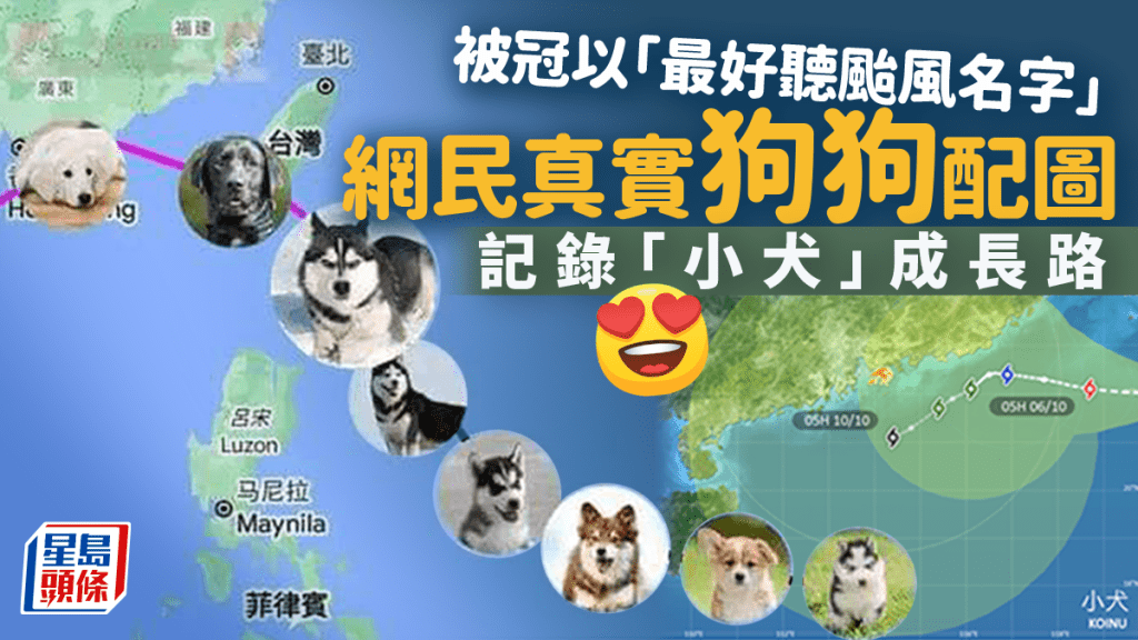 颱風小犬｜最好聽風暴名字 網民配狗狗圖片記錄「小犬」成長路