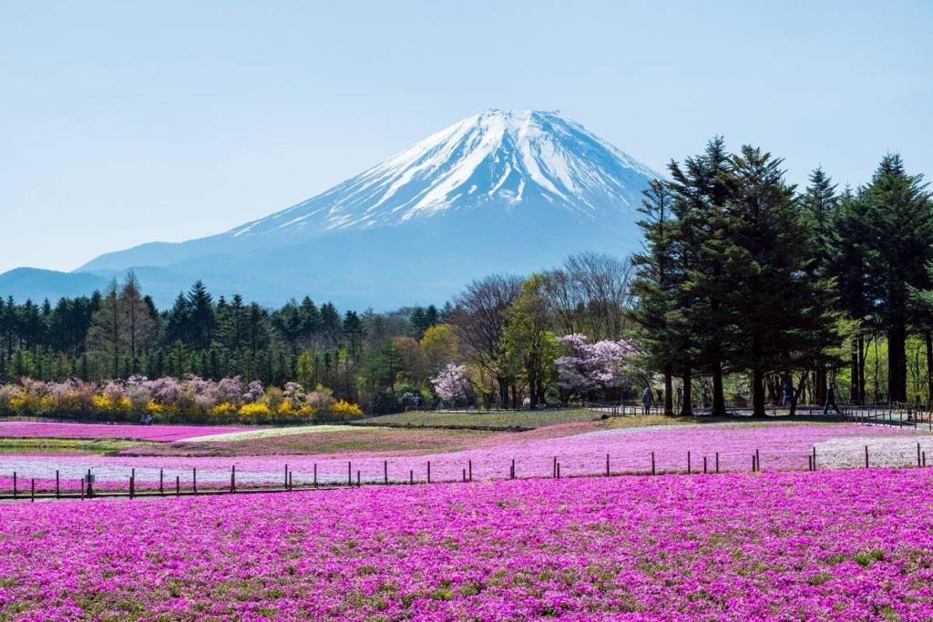遊日注意，日本內閣敲定入境新法案，將建立事前審查制度。日本國家旅遊局