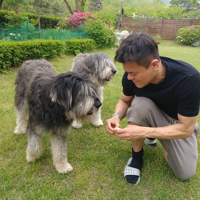 朴軫永。網圖