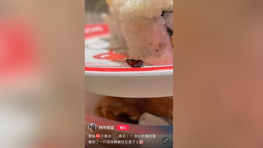 網民驚見壽司碟上有活生生蟑螂。小紅書圖片