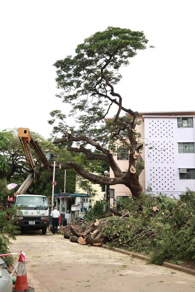 田進福的攝影專頁Edward Tin fb圖片