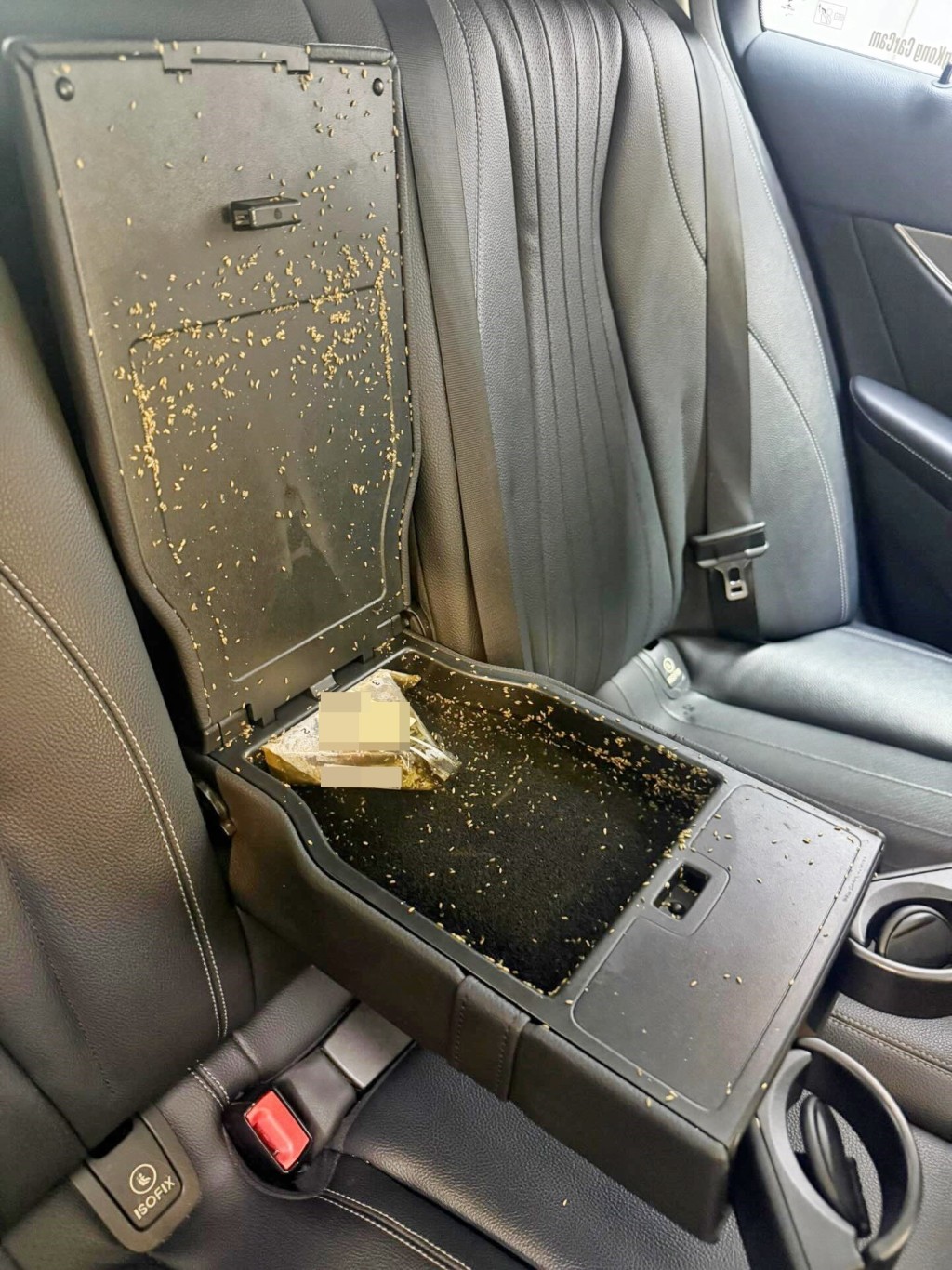 相中見到,打開的手枕儲物空間內有一個飯糰, 飯糰包裝袋內已滿布疑似蛆蟲,內籠更爬出了密 密麻麻的蟲蹤。Threads截圖 相中見到,打開的手枕儲物空間內有一個飯糰, 飯糰包裝袋內已滿布疑似蛆蟲,內籠更爬出了密 密麻麻的蟲蹤。Threads截圖