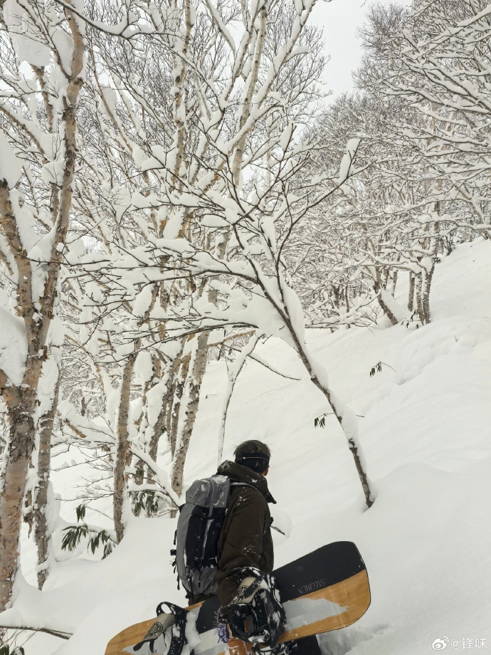 留著一頭前衛髮型的謝霆鋒身穿棕色連帽滑雪服及黑色長褲。