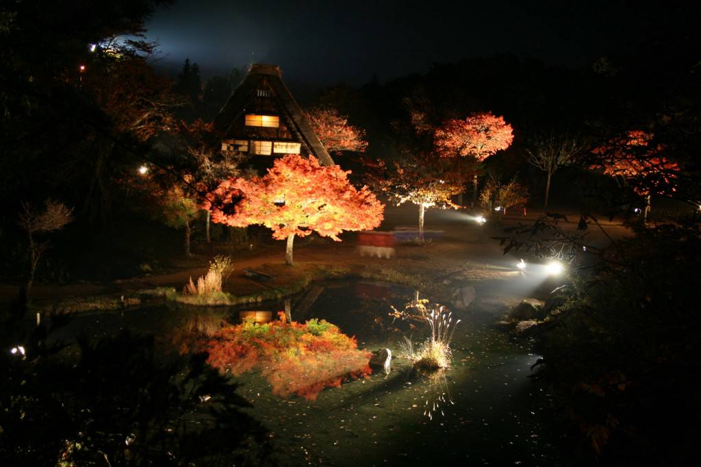 熊害問題擴大,白川鄉今明楓葉點燈取消。岐阜fb