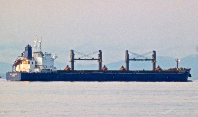 遇袭的Unity Explorer商船悬挂巴哈马国旗。网上图片