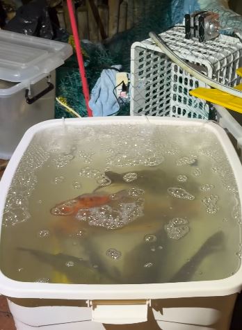 fb龜途 The Turtle's Inn圖片