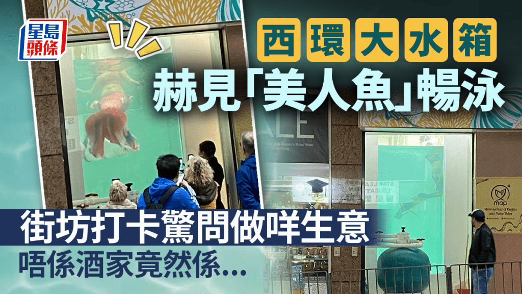 西環大水箱驚現「美人魚」暢泳 街坊打卡驚問做咩生意 唔係酒家竟然係...