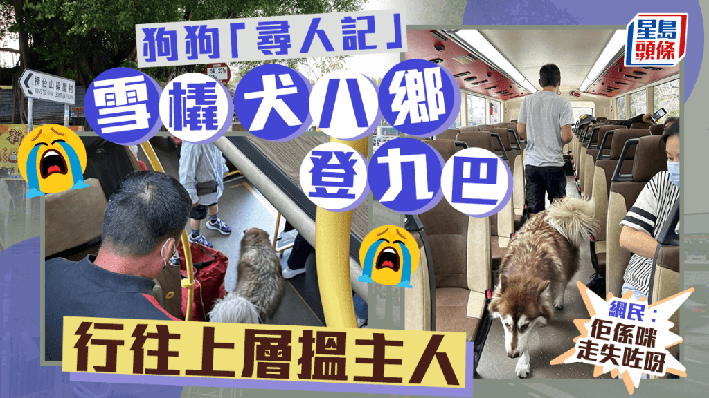 八鄉發生雪橇犬登上巴士事件。 fb:八鄉好士多