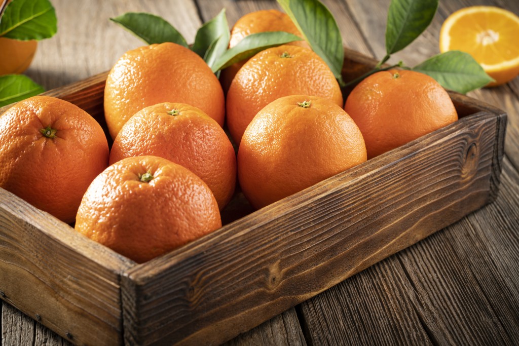 金山橙是九運最旺的擺設，也是最旺的水果。