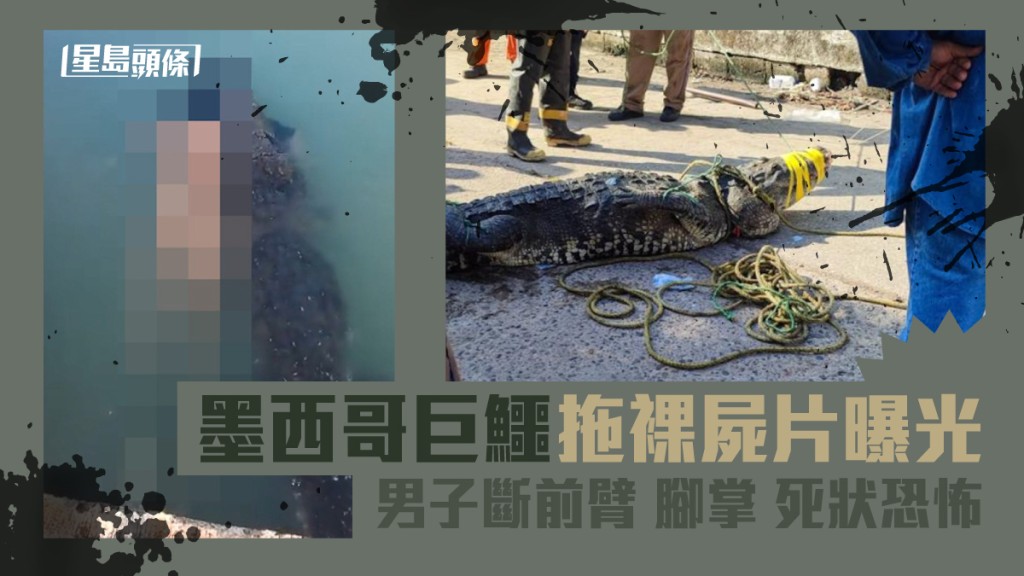 墨西哥鱷魚拖裸屍片曝光 25歲男疑遭咬斷前臂腳掌死狀恐怖