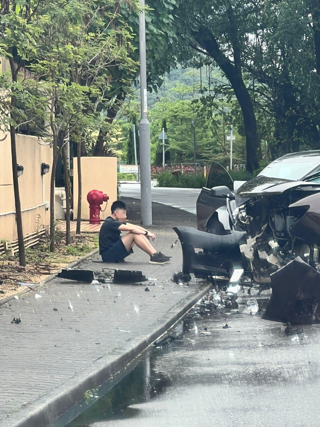 一辆Tesla电动车与一辆七人车于大埔三门仔路发生相撞。网上图片