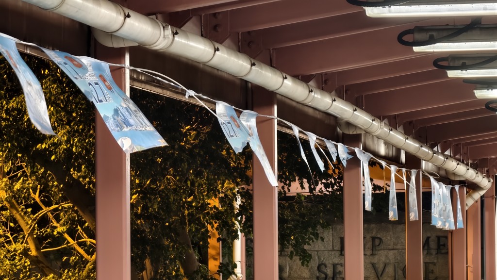 多幅立法會選舉宣傳海報成列損毀。