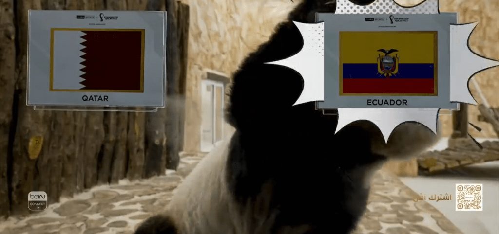 京京拍落厄瓜多爾國旗。網上圖片