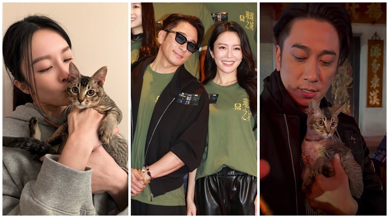 張曦雯吳卓羲戲假情真驚爆戀情？晒新貓「冬菇」誤洩蜜疑同居 二人曖昧互動早有跡可循