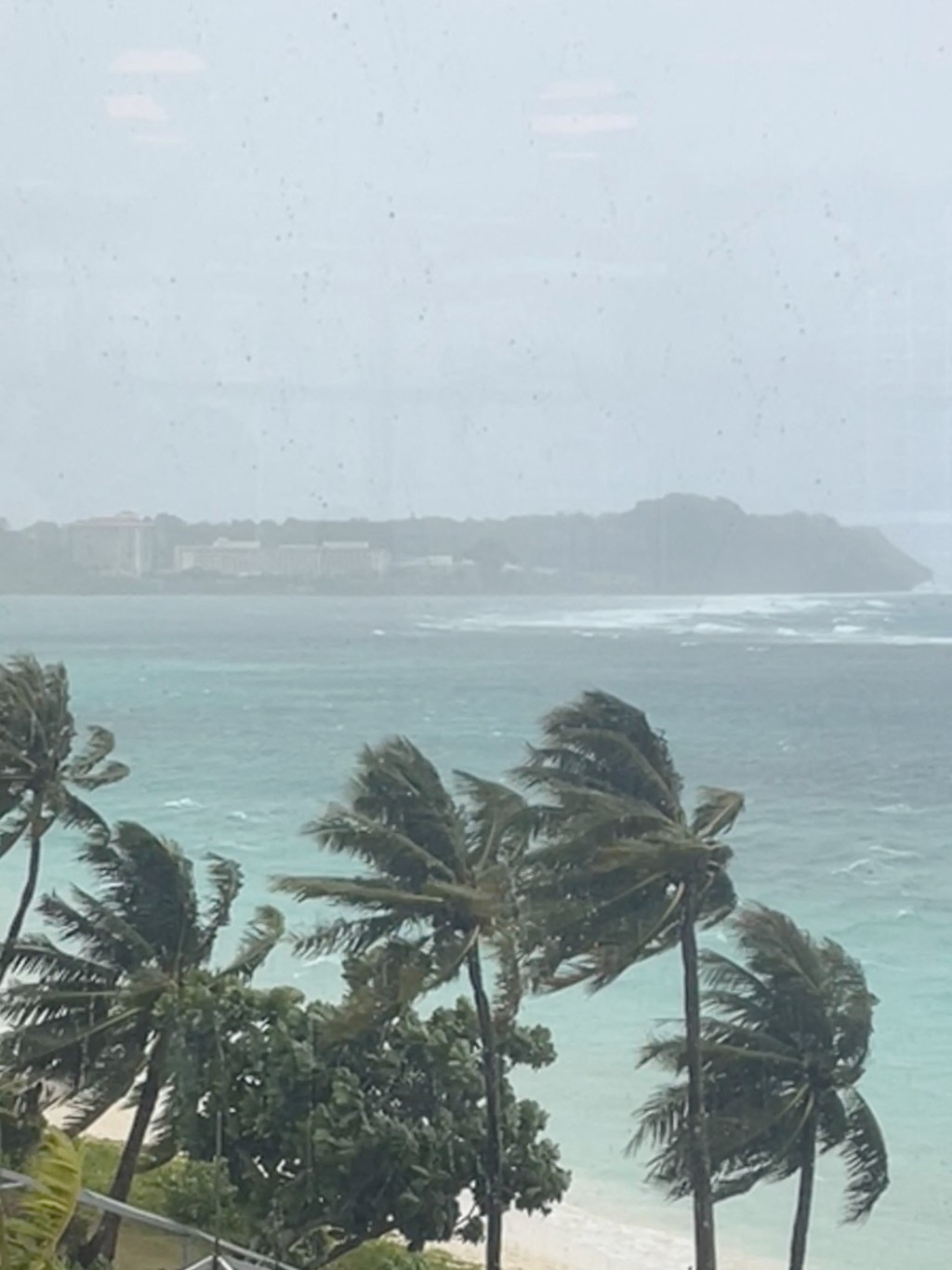 台风玛娃（Typhoon Mawar）挟带强风直扑关岛，树被吹歪。 路透社