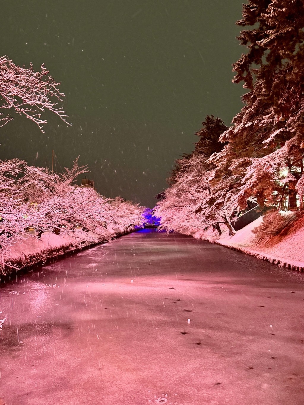 日本青森縣受大雪侵襲，部份地區積雪達3米。X