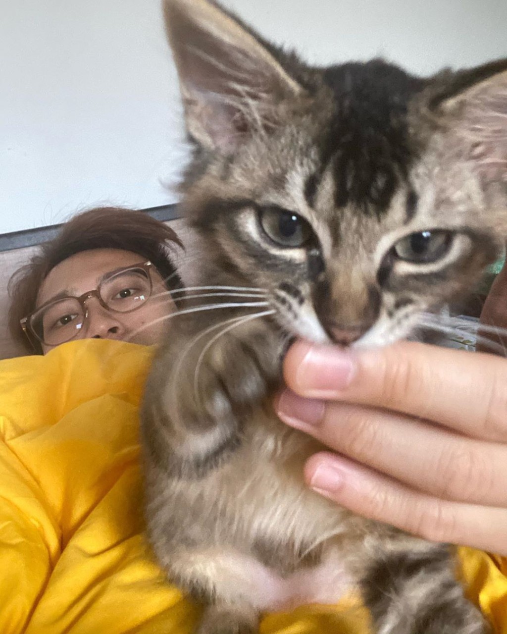 新任貓奴坤哥，日日陪主子玩。