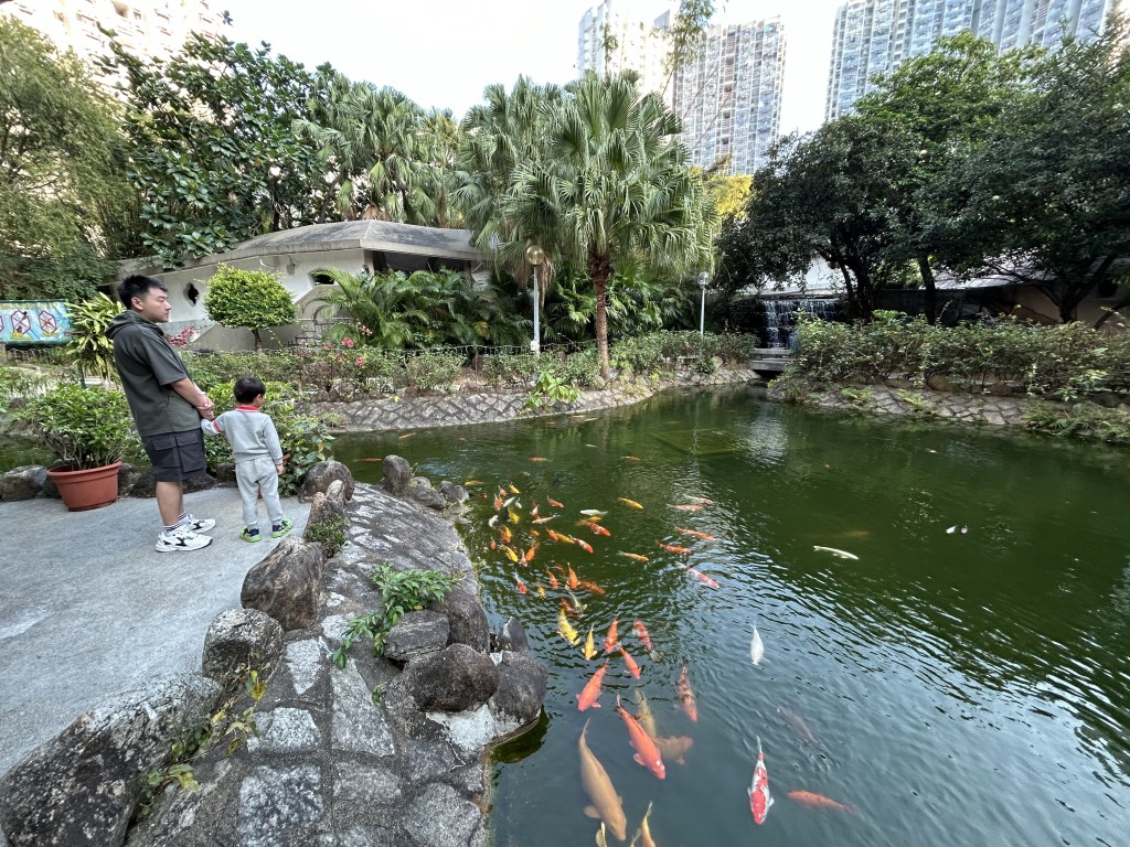 不少居民到场观赏鱼群。曾志恒摄