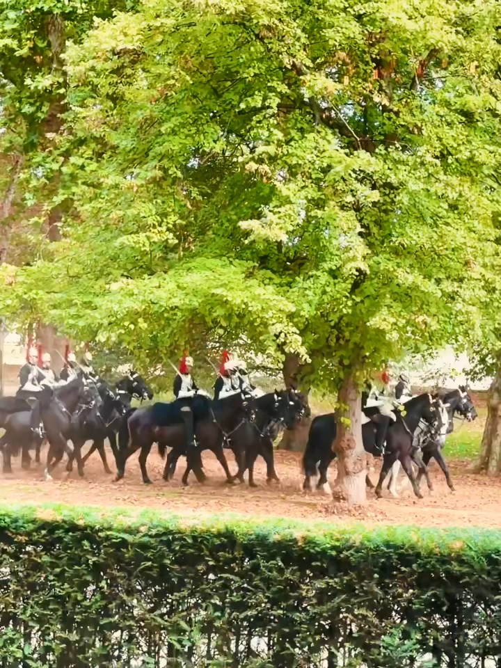 何艷娟從酒店露台望到英國皇家騎兵隊（Household Cavalry）在樹蔭下縱隊經過。