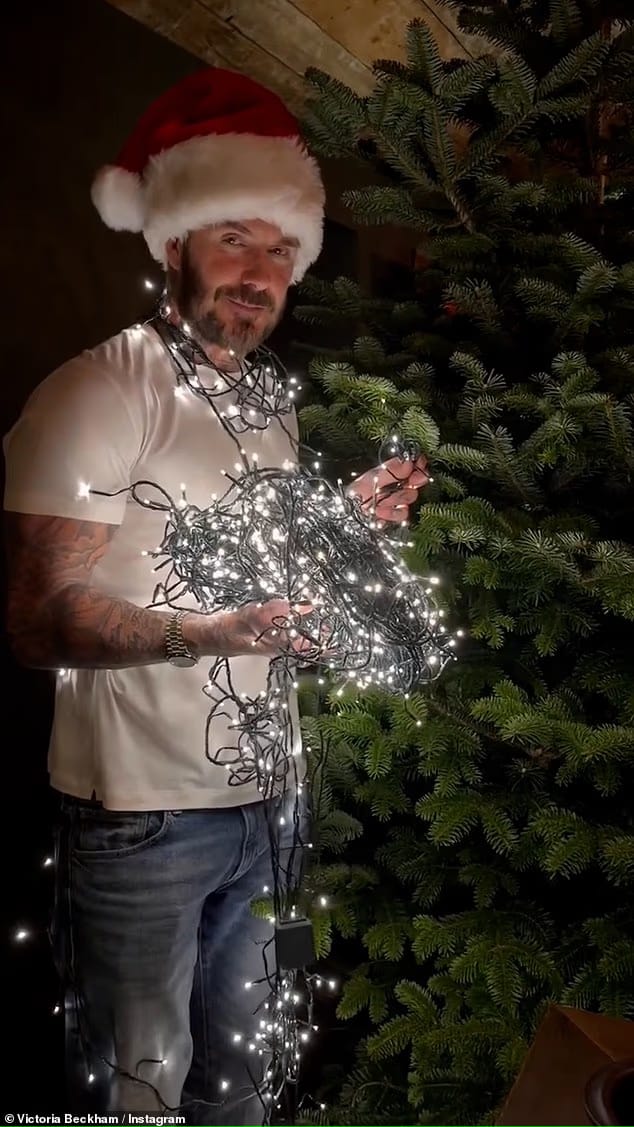 碧咸裝飾聖誕樹,把閃燈掛量上身。 碧咸裝飾聖誕樹,把閃燈掛量上身。