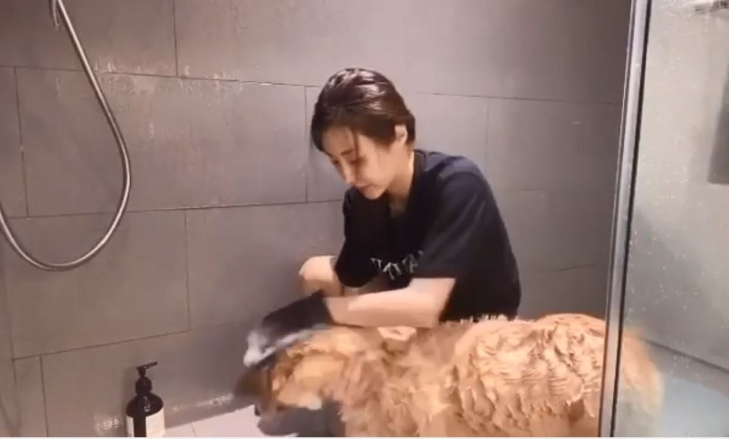 第三隻狗狗。
