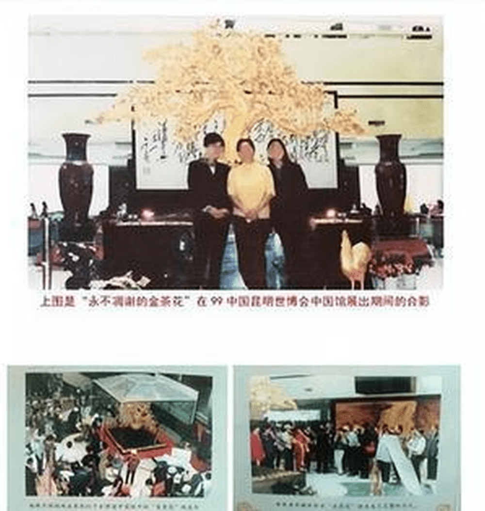 内地传媒广泛报道有关黄金艺术品「金茶花」。