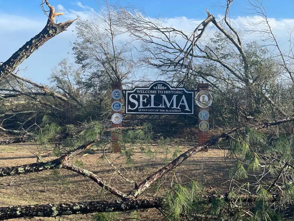 在阿拉巴馬州塞爾瑪，在惡劣天氣過後可以看到倒下的樹木。AP
