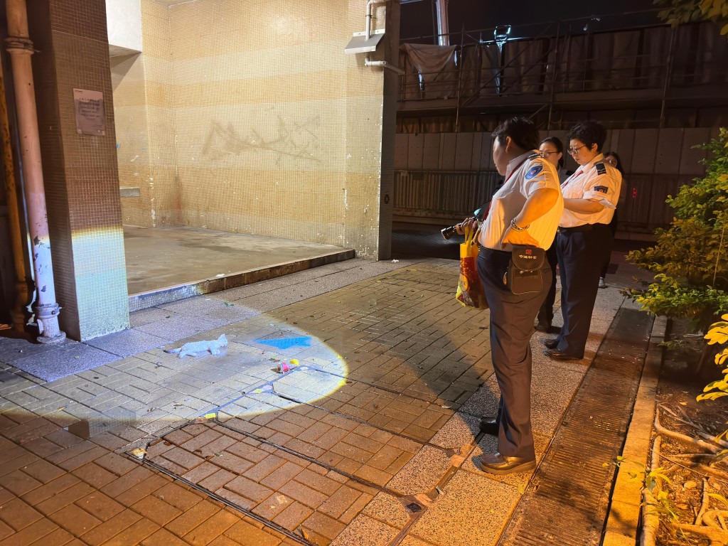 一隻白貓從東涌逸東邨瑞逸樓的高處墮下。