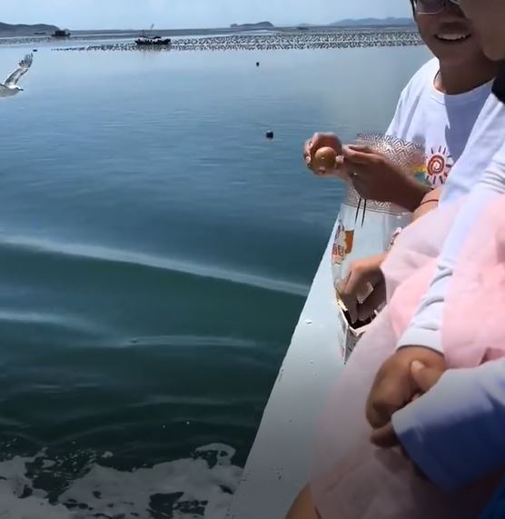 两男谈笑风生。